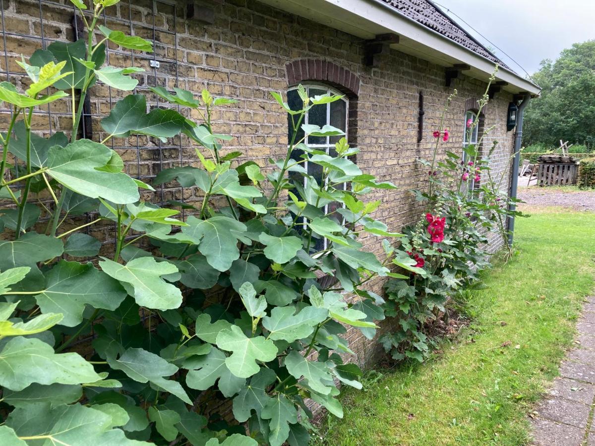 Ferienwohnung Duerswald Wijnjewoude Exterior foto